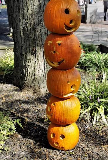 Fall is Here: What's There To Do Around Town?