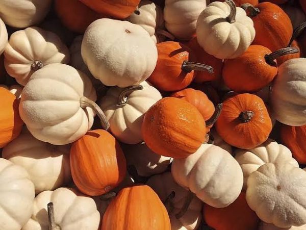Fall Festivities and sweets