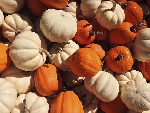 Fall Festivities and sweets